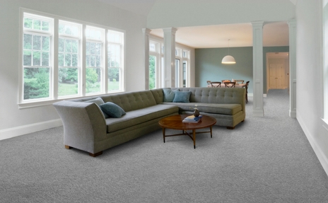 Top rated carpet brand